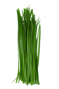 Knoflook Bieslook