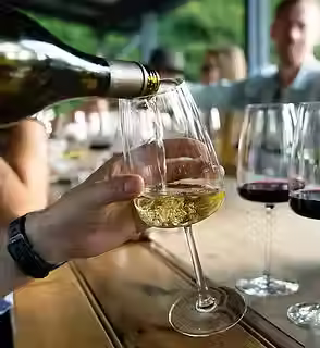 vin verser.avif