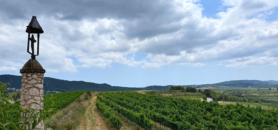 PENEDES_road_BIEN_5_edited.jpg