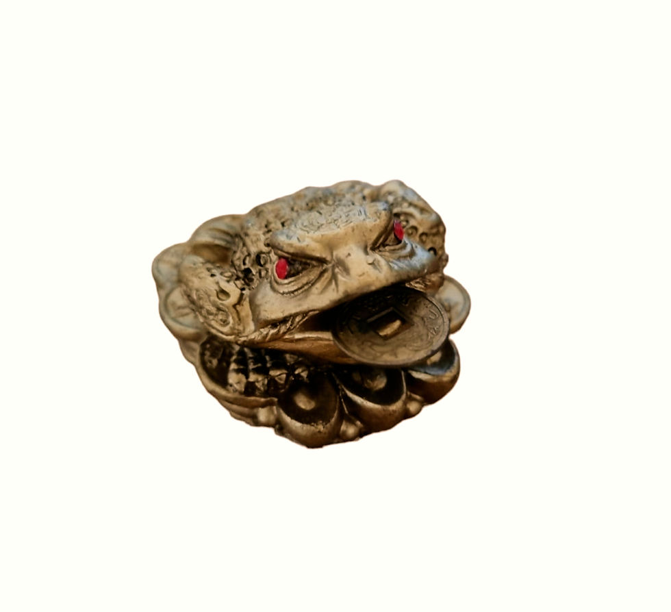 Feng Shui Money Frog With Coin (Small)