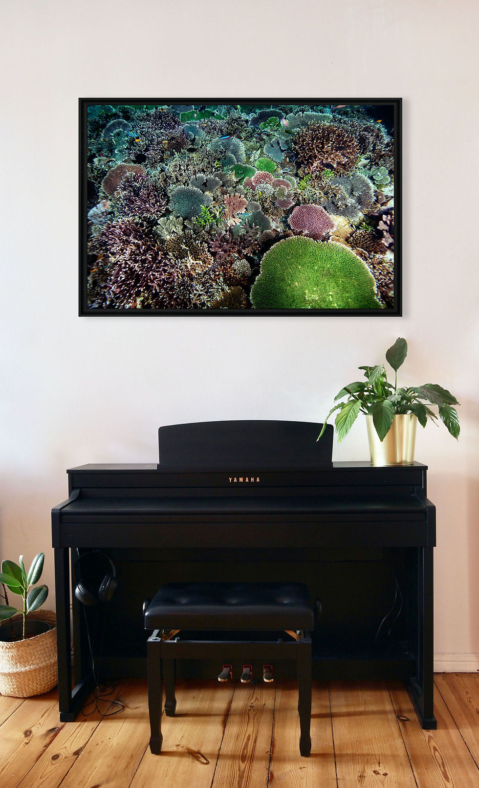 Miniature : Récif corallien de Komodo révélant la diversité des formes du corail