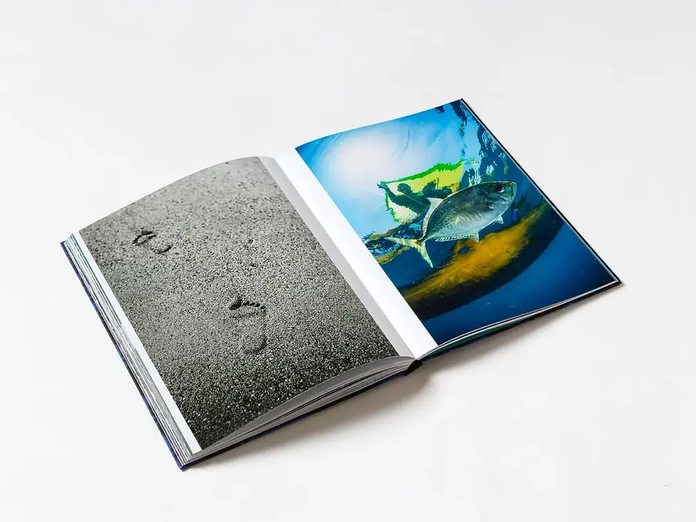 Miniature : Martin Colognoli photographiant le corail sur le terrain