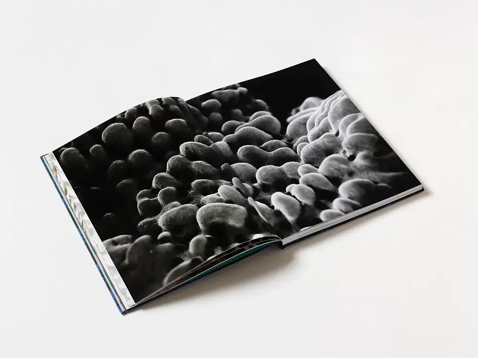 Miniature : Qualité du papier et de l’impression du livre photo corail