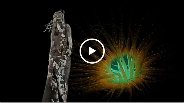 Visual art educating on coral fragility