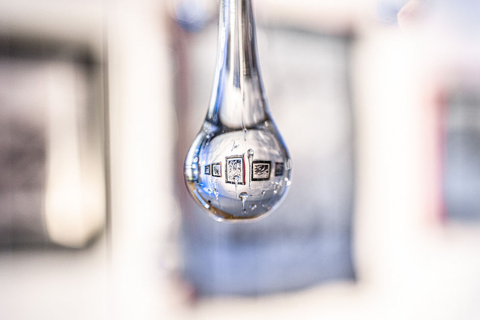 Artistic works dedicated to water preservation