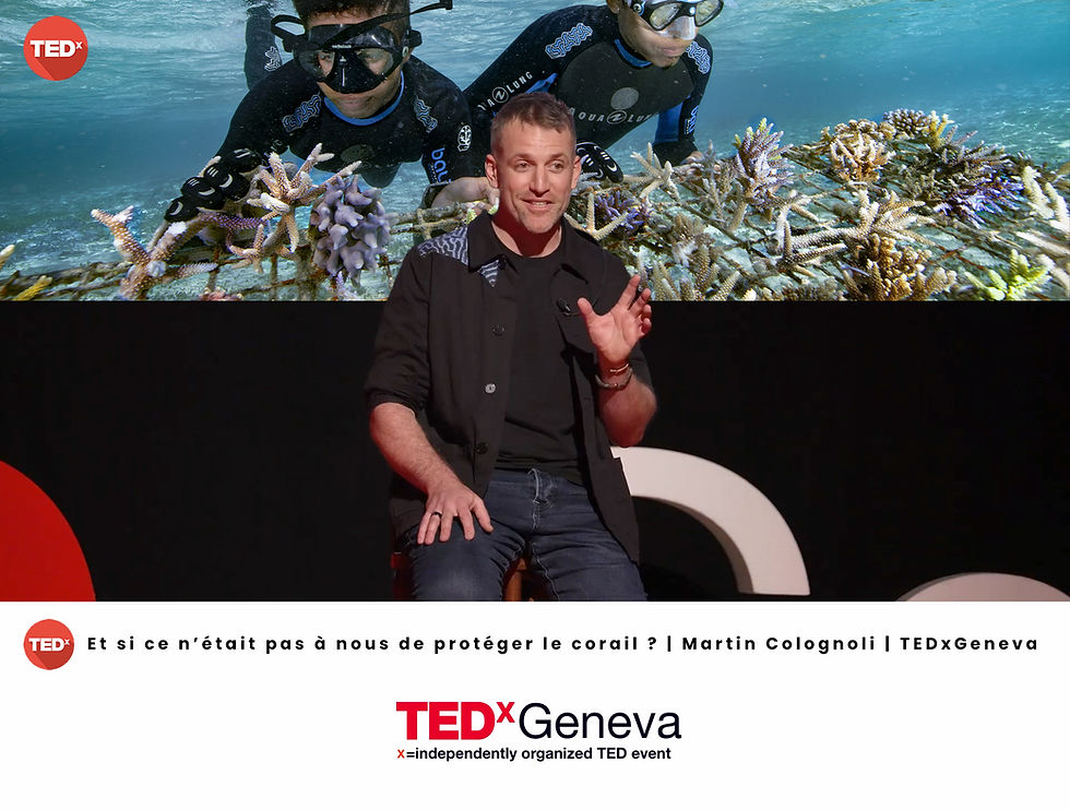 Et si le corail avait quelque chose à nous apprendre ? 