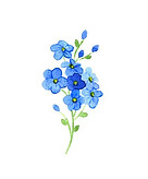 8d5de0702b7ed38a6fcdb4ae3d744e9b.jpg