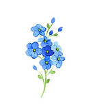 8d5de0702b7ed38a6fcdb4ae3d744e9b.jpg