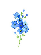 8d5de0702b7ed38a6fcdb4ae3d744e9b.jpg