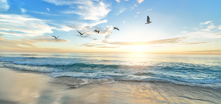 five birds flying on the sea_edited_edited.png