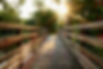 bigstock-Wooden-Bridge-In-The-Middle-Of-385323908.jpg