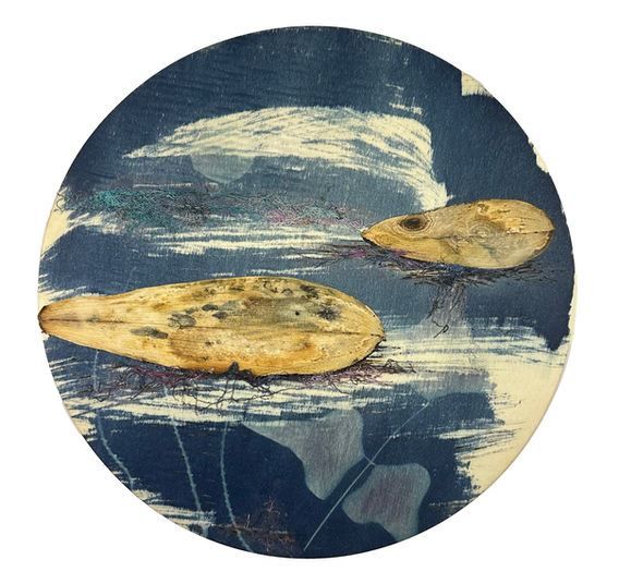 Cyanotype, mixed media, dried flora, on a 12" round wood panel capturing the ocean's blue water with plants plants that transform into fish