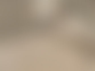 Pennut ovat löytäneet omat perheensä – pian matkaan kohti uusia koteja 1.3.2026