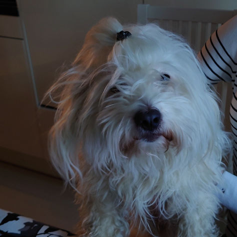 Hei, minäkin odottelen että Ellulla onnistaa kun oikea aika on 😚