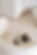 AMCONYC-Boutique-Marketing-Agency-1.png