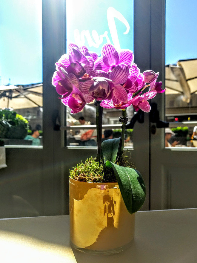 Flowers for Lunch