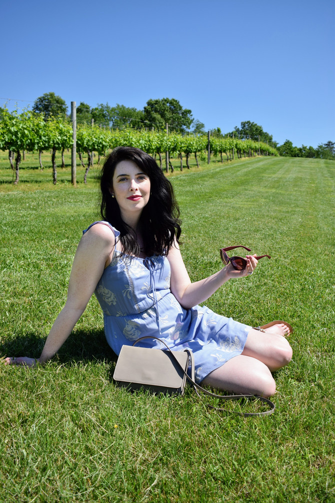 Pippin Hill Farm: A Virginia Vineyard