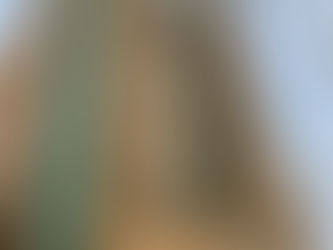 Experience Sparkling Clean Windows with Lamont Cleaning and Support Services in Belfast