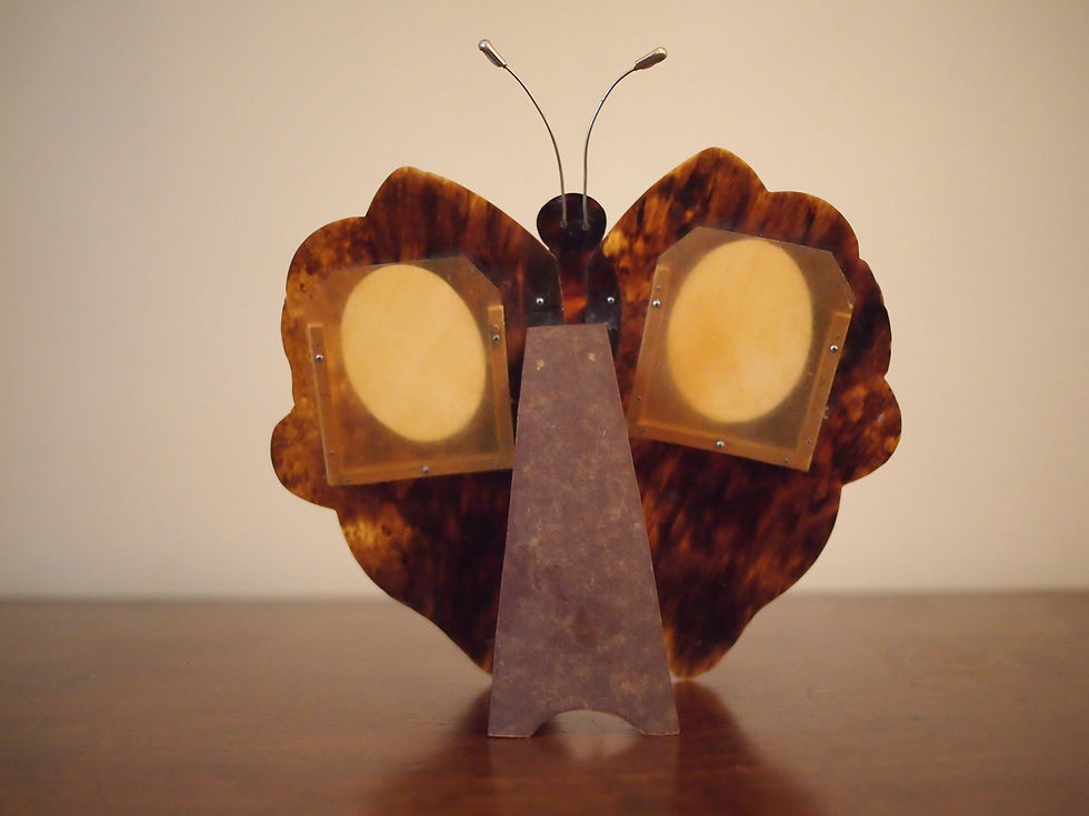Thumbnail: Antique Butterfly Frame