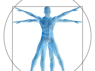 AM: Ergonomics