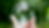 Copy of Blog Banner for Website Content (5).png