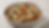 Close-up view of a bowl filled with fresh natural dog food