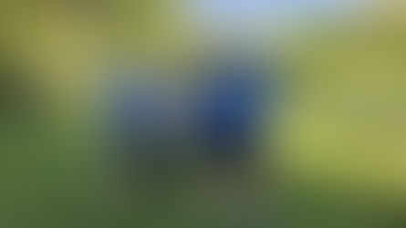 Erfolgreiches Wettkampfwochenende für unsere Masters