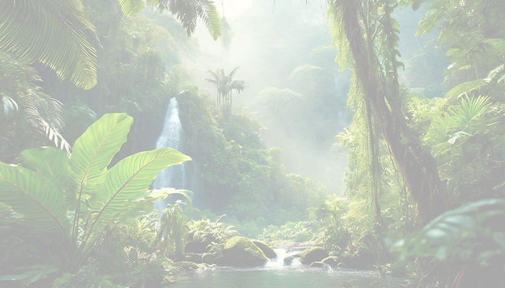 Rainforest Light.jpg