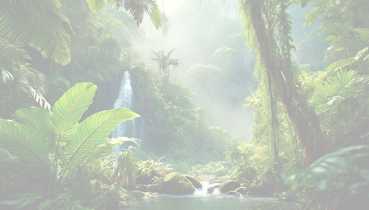 Rainforest Light.jpg