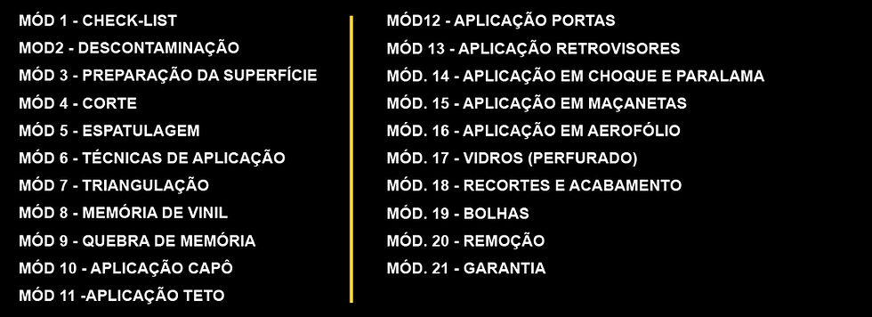 módulo automotivo cópia.jpg