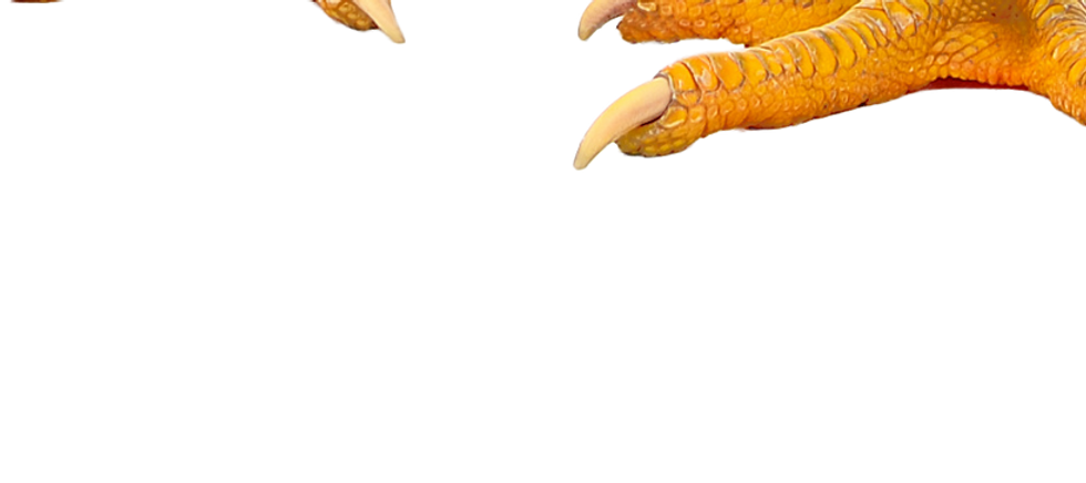 image.png