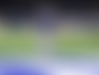 NFL WEEK 10 - INDIANAPOLIS COLTS vs ATLANTA FALCONS