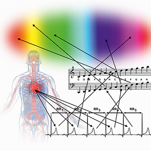 Vipaka Sound of Soul Meditation