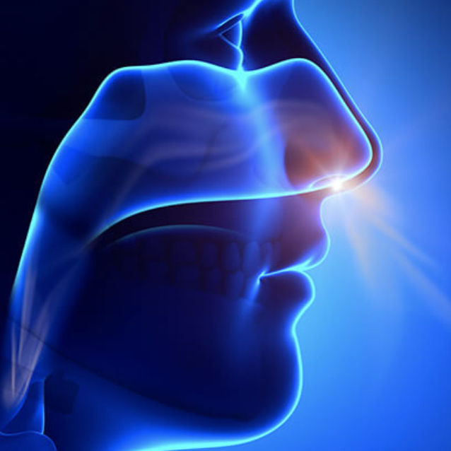 Zum Atmen ist die Nase da! Die Schwächen der Mundatmung.