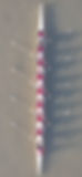 1E3784F6-8F49-4BD0-926E-BC54BDDDED56_1_101_o.jpeg