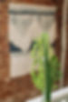 Seva Yoga Summer 2024-3.jpg