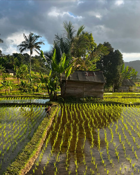 Sidemen, il villagio autentico di Bali tra le risaie