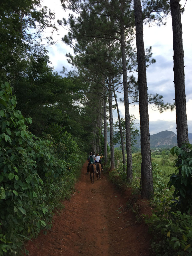 CUBA. La Valle di Viñales, il paradiso naturale Patrimonio dell’Unesco