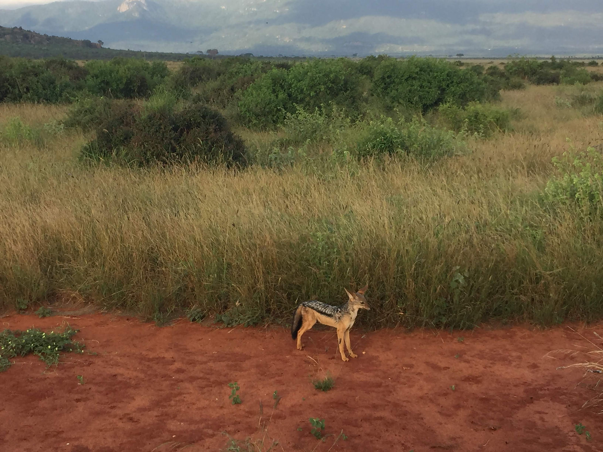 Kenya, itinerario 12 giorni