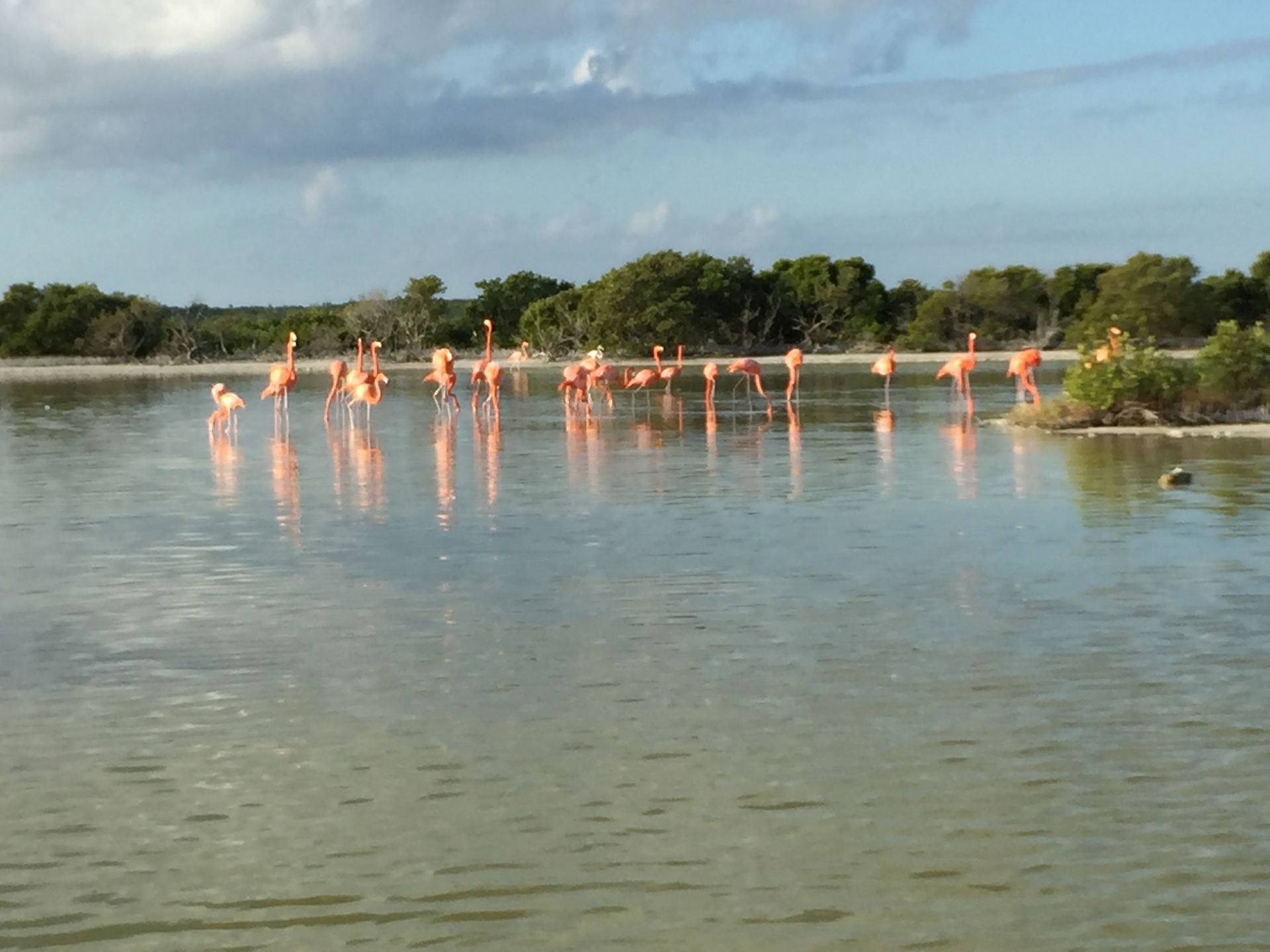 Rio Lagartos, Yucatan, Messico