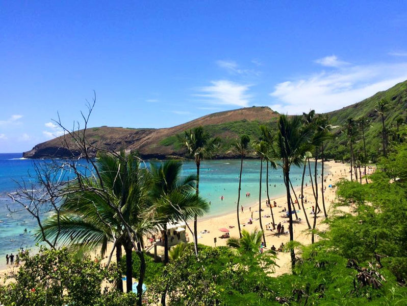 HAWAII. Snorkeling tra pesci e tartarughe nell'acquario di Hanauma Bay
