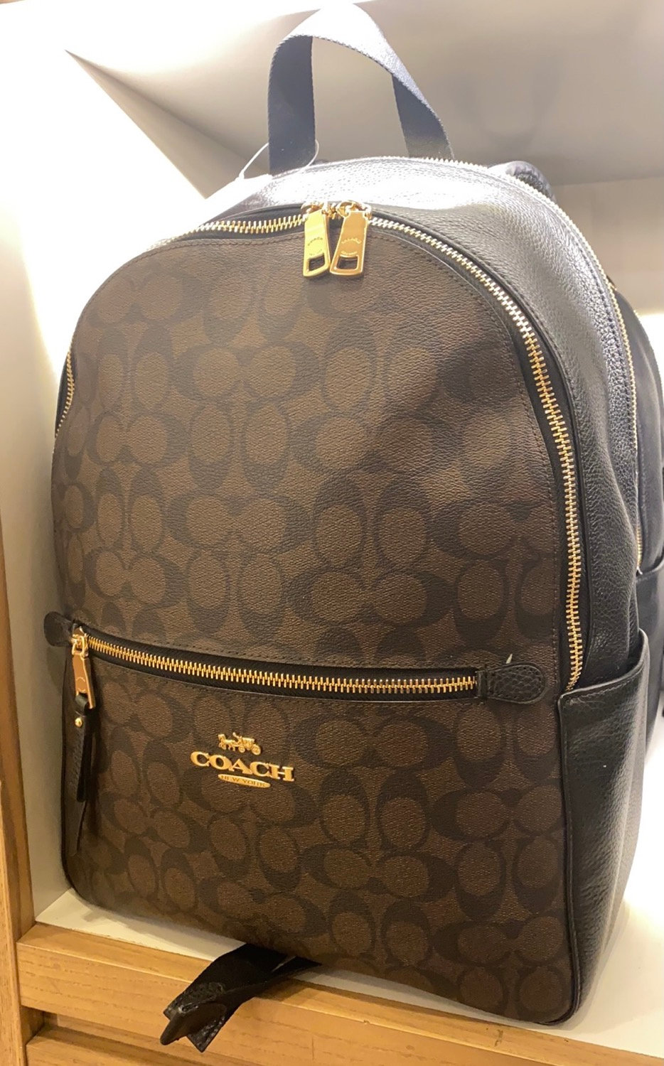 addison backpack in signature canvas