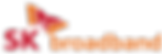 브로드밴드-로고(ai).png