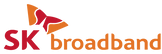 브로드밴드-로고(ai).png