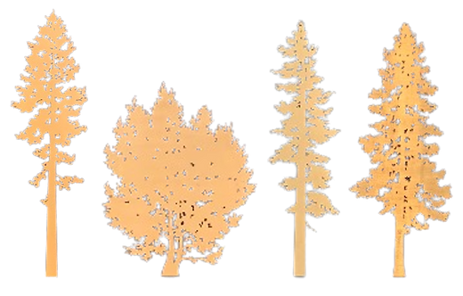 Group Trees No Background.png