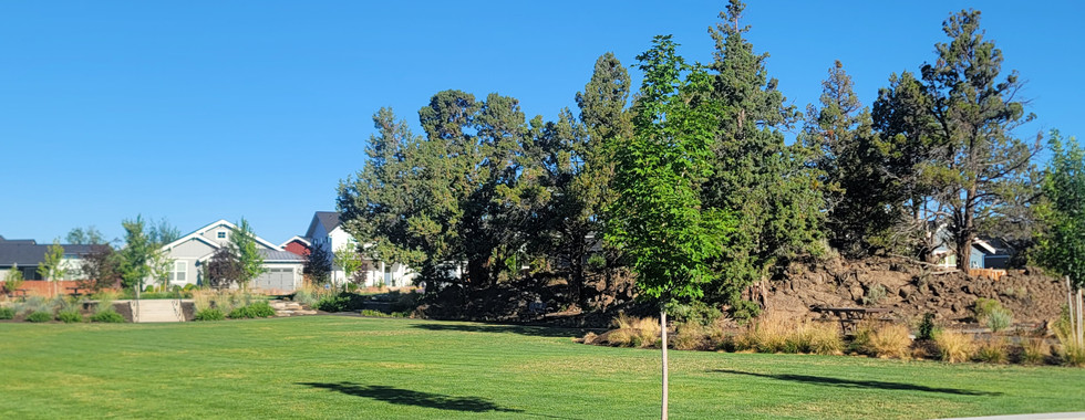 Northpointe park playground in Bend, Oregon open grass field