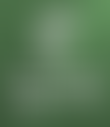 New Memberships - on hold