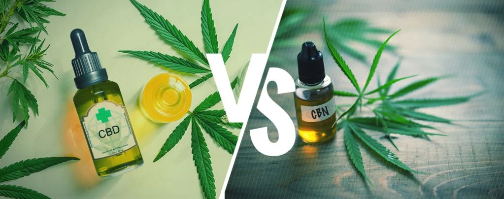 CBD VS CBN