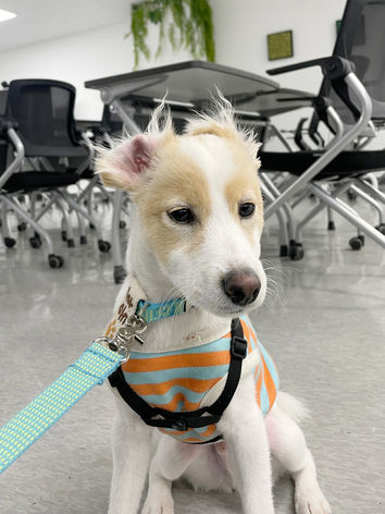 KakaoTalk_20230608_175845079_13.jpg