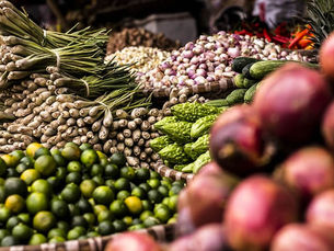 Food Insecurity